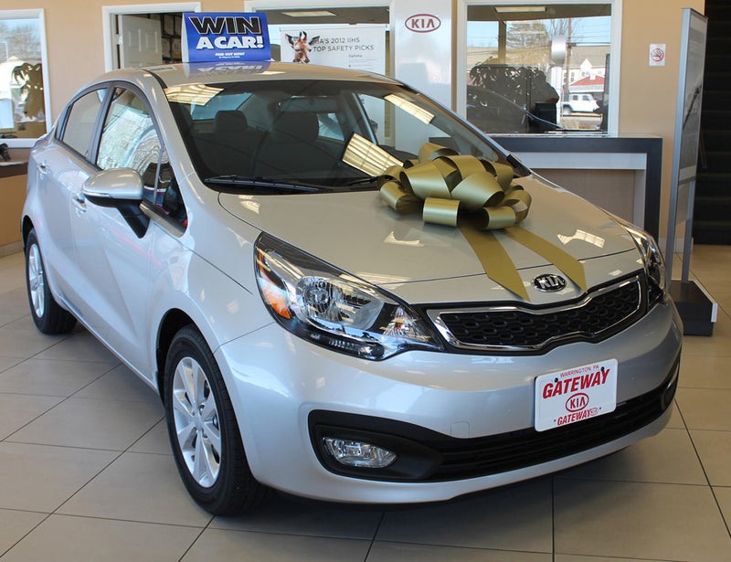 Load image into Gallery viewer, 22 Inch Car Bow