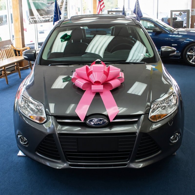 Load image into Gallery viewer, 22" Premium Car Bow