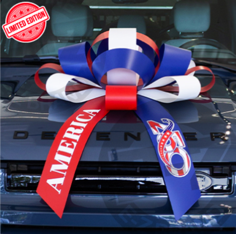 Load image into Gallery viewer, 30" Premium America 250 Car Bow