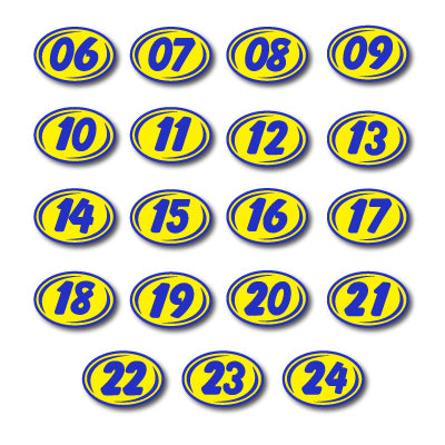 Load image into Gallery viewer, Bold Year Model Signs Blue & Yellow