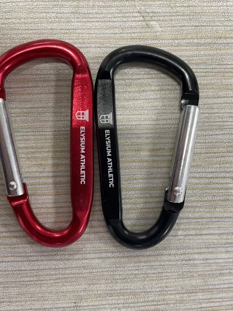 Load image into Gallery viewer, Custom Carabiner Key Chain
