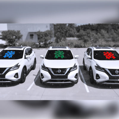 Load image into Gallery viewer, Biggie Bows
