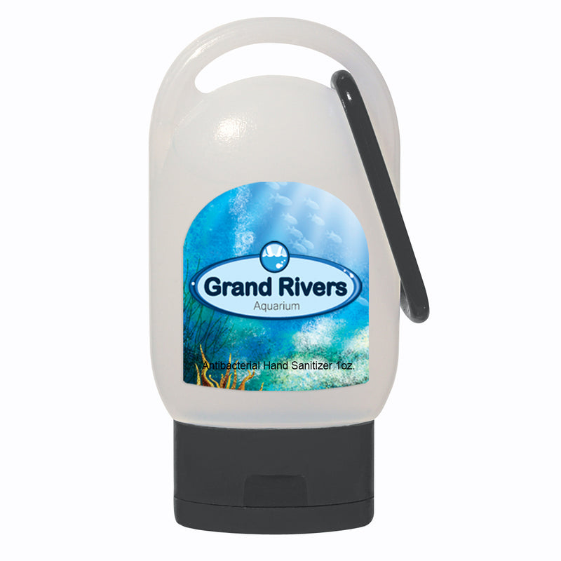 Load image into Gallery viewer, 1 Oz. Hand Sanitizer With Carabiner
