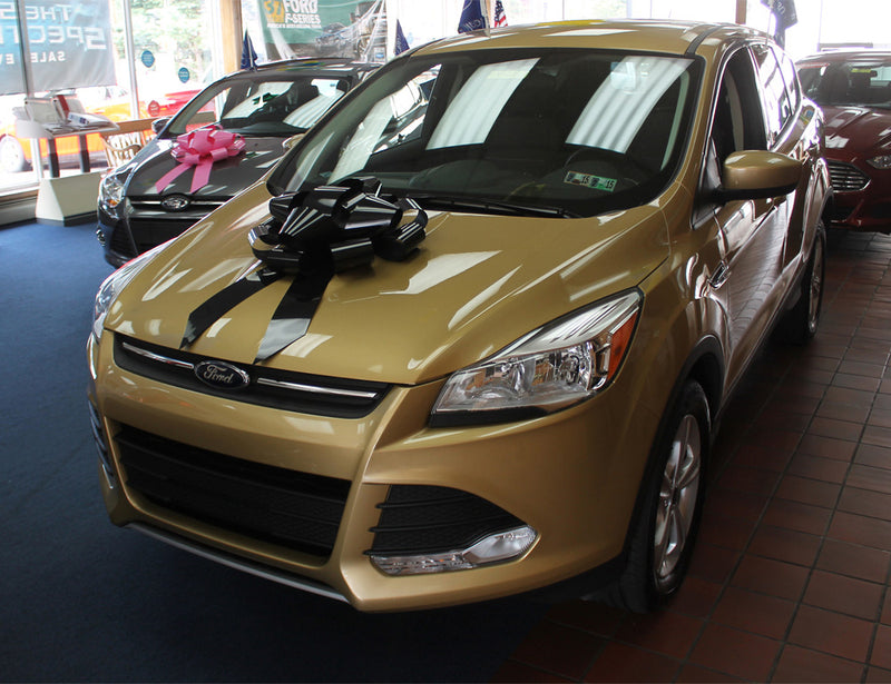 Load image into Gallery viewer, 22 Inch Car Bow
