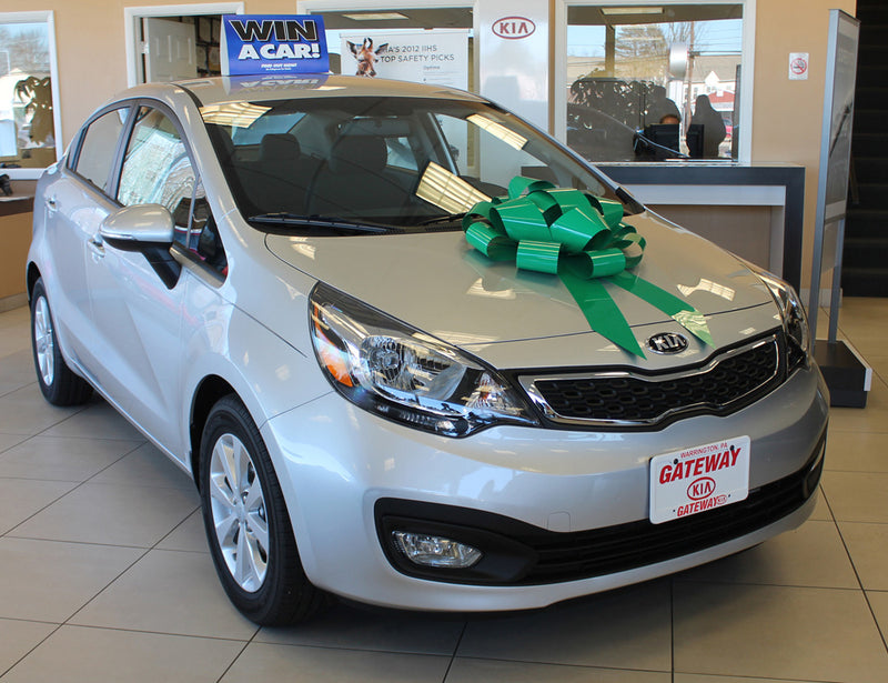 Load image into Gallery viewer, 22 Inch Car Bow
