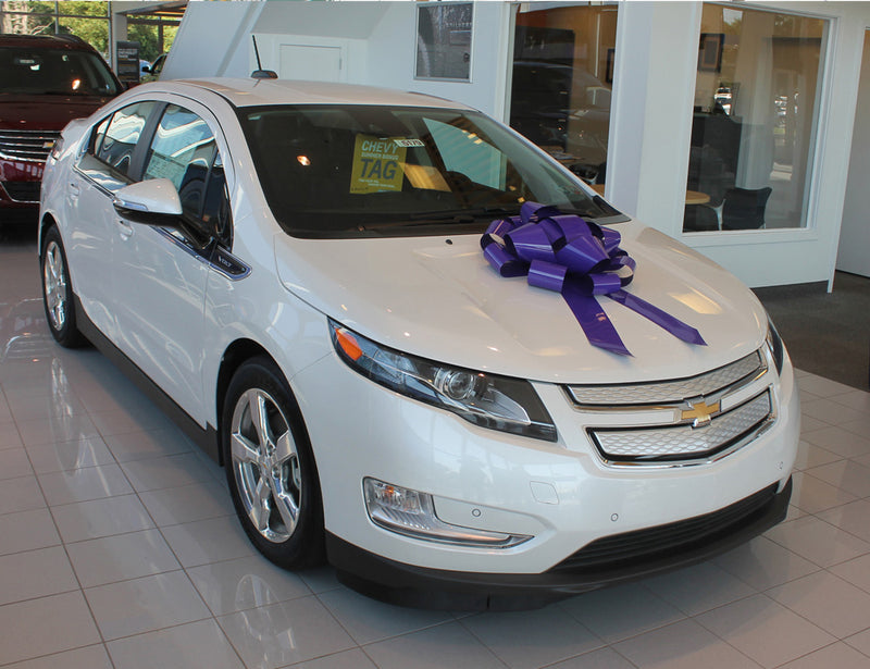 Load image into Gallery viewer, 22 Inch Car Bow
