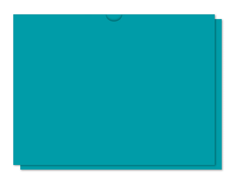 Load image into Gallery viewer, Heavy Duty Deal Jacket, Plain- SA1220-HD- (Box of 500)
