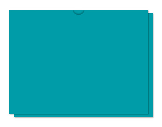 Heavy Duty Deal Jacket, Plain- SA1220-HD- (Box of 500)