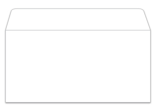 License Plate Envelope - LPEV-1 - Moist & Seal - White - Qty. 100