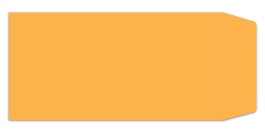 License Plate Envelope - LPEV-1 - Moist & Seal - Qty. 100