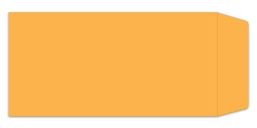 License Plate Envelope - LPEV-1 - Self Seal - Qty. 100