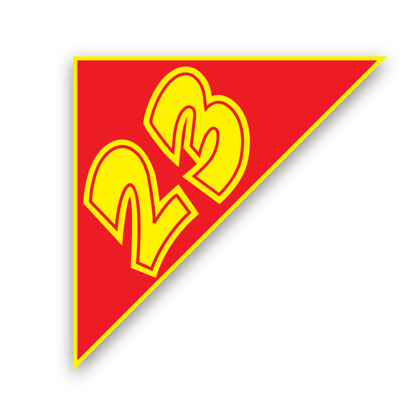 Load image into Gallery viewer, Red &amp; Yellow Angle Year Models
