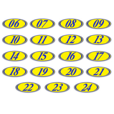 Load image into Gallery viewer, Blue &amp; Yellow Two Digit Oval Year Model
