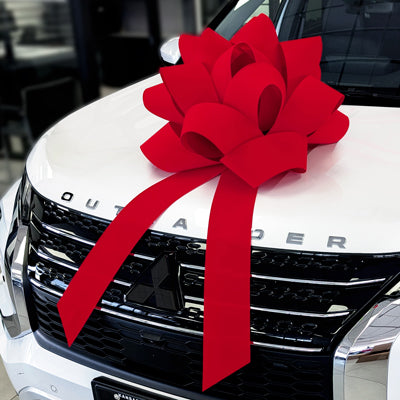 Premium Velvet Car Bows