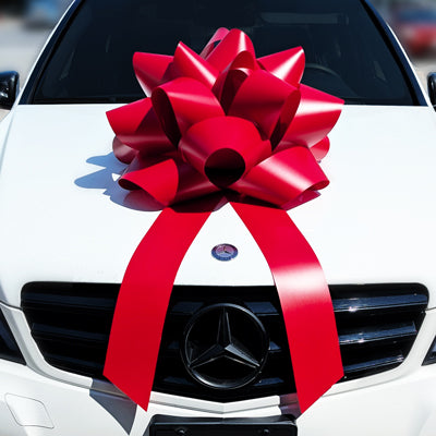 Load image into Gallery viewer, Premium 25&quot; Car Bow
