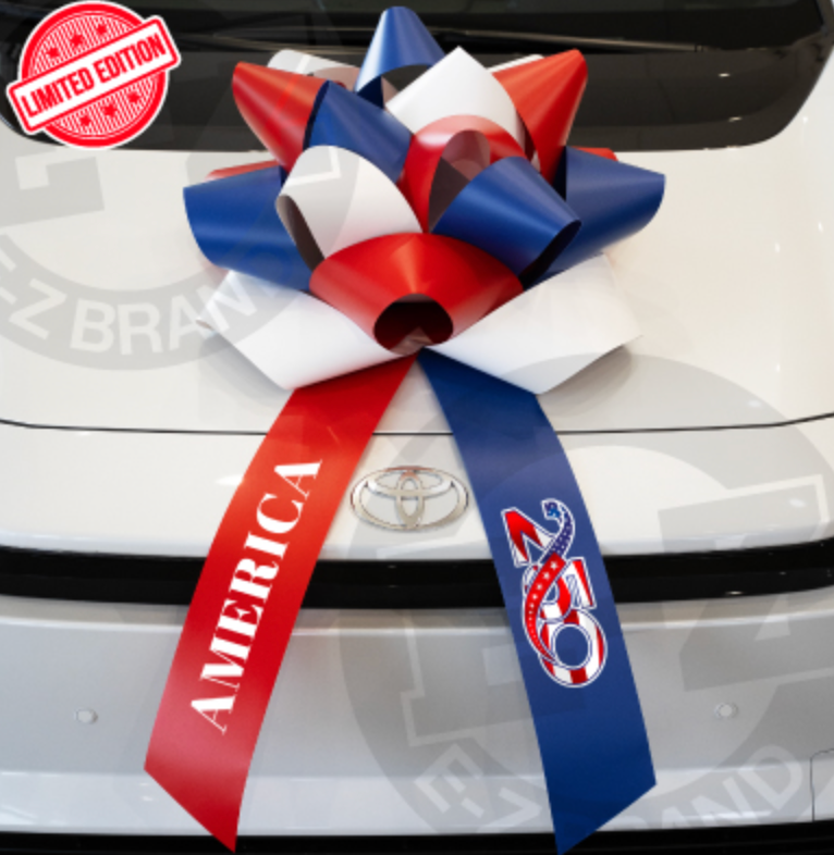 Load image into Gallery viewer, Giant Premium America 250 Car Bow
