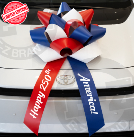 Giant Premium America 250 Car Bow
