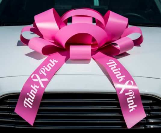 Jumbo Think Pink BCA Car Bow with Magnetic Base