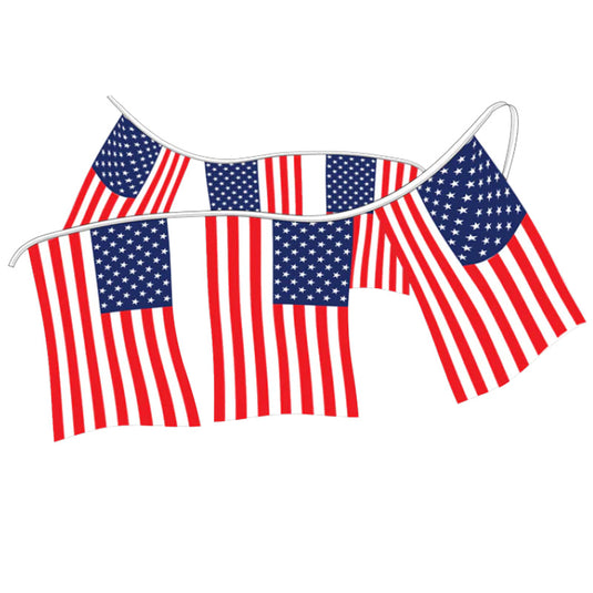 Stars & Stripes Polyethylene Flag Pennant (12