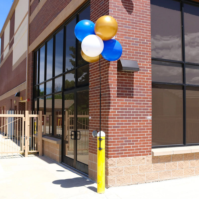 Load image into Gallery viewer, BalloonBobber® 6-Balloon Cluster Pole Kit

