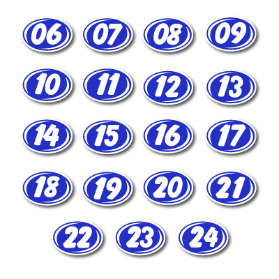 Load image into Gallery viewer, Bold Year Model Signs Neon White &amp; Blue
