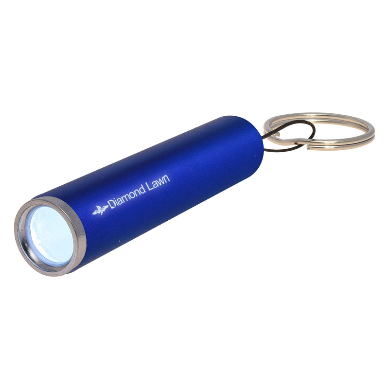 Load image into Gallery viewer, Ray Light Up LED Flashlight
