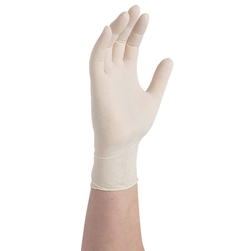 Latex Gloves - Large - Powder Free, Box of 100